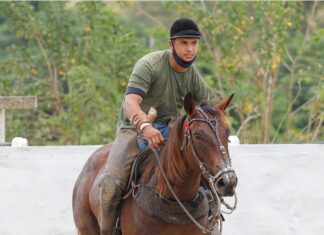 Vaqueiro e cavalo morrem após tomar choque elétrico em caminhão