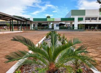 Unidades do IFTO suspendem aulas após professores e técnicos entrarem em greve; veja quais
