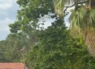 Cortejo com centenas de pessoas marca despedida a influencer morto em acidente