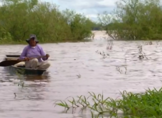 Menos água e contaminação por agrotóxico: estudos mostram impactos no rio Araguaia nos últimos 40 anos