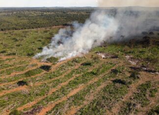 STF mantém decisão que declara inconstitucional lei que flexibiliza o licenciamento ambiental no Tocantins