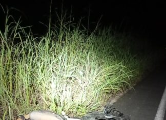 Motociclista morre após bater em caminhão e ser arremessada no acostamento