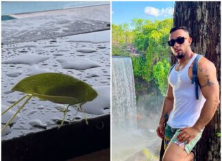 Influencer postou vídeo mostrando ‘esperança’ horas antes de morrer em acidente: ‘Bom sinal’