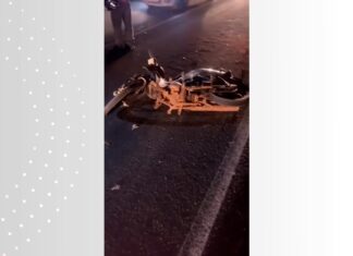 Pessoas cortam carne de vaca atropelada enquanto vítima de acidente espera ambulância; VÍDEO