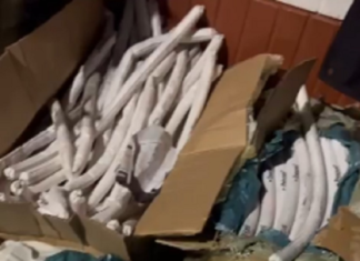 Quase uma tonelada de explosivos é encontrada na rodoviária de Palmas