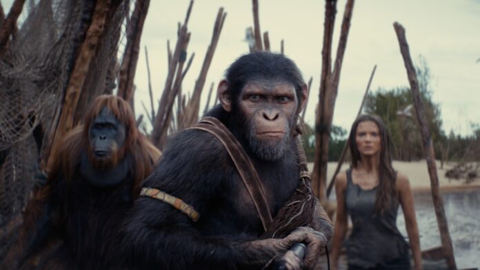 planeta-macaco-reinado-capa