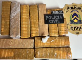 Homem é preso com 10 kg de maconha após ônibus ser parado em barreira, diz polícia