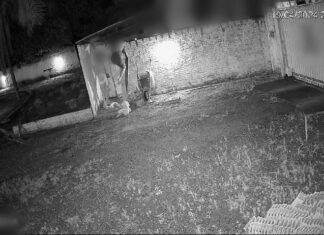 Suspeitas de esfaquear homem que negou Pix após encontro em motel são presas; VÍDEO