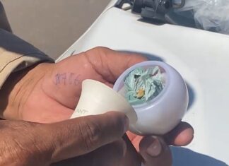 Policiais encontram drogas dentro de lâmpada durante abordagem: ‘não saiu um gênio’