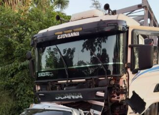 Motorista morre após acidente com caminhão na BR-153