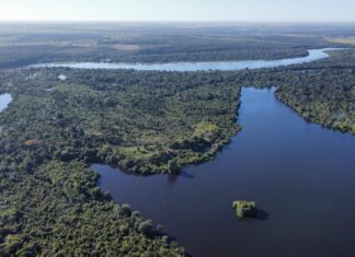 Locais de pouso de aves migratórias serão mapeados para prevenção contra a gripe aviária