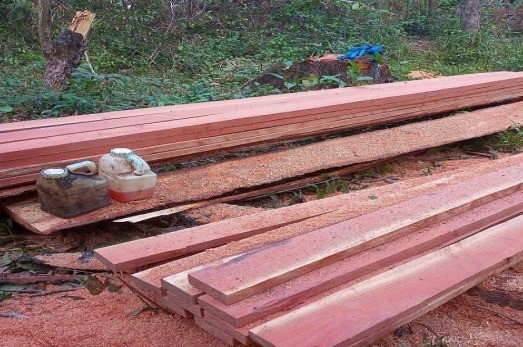 whatsapp-image-2024-05-29-at-08.35.08