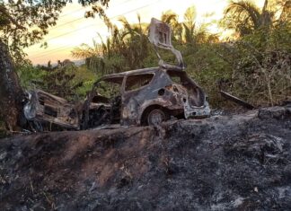 Técnico de enfermagem morre carbonizado após carro bater em árvore e pegar fogo na TO-336