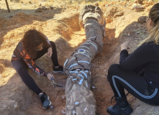 Pesquisa mapeia impactos da ação humana em região que abriga Floresta Petrificada considerada patrimônio cultural
