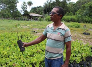 Líder assentamento é executado em estrada rural, diz PM