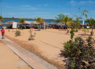 Telas de proteção de praias começam a receber manutenção após ataques de piranhas a banhistas