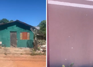 Polícia recolhe celular e imagens de câmeras para apurar morte de brigadista do Ibama no Tocantins