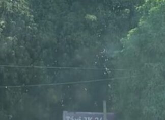 Dupla quebra vidraça, furta loja na principal avenida de Palmas e foge de moto com produtos; VÍDEO