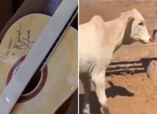 Violão autografado por Henrique e Juliano e bezerra doada por Leonardo são arrematados por mais de R$ 115 mil em leilão