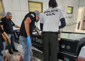 Mais de 300 kg de carnes impróprias para o consumo são apreendidos e açougue de mercado é interditado
