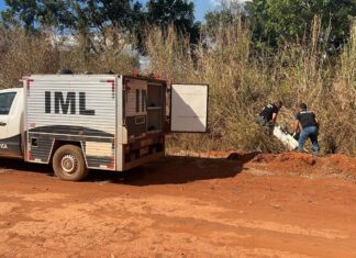 Corpo em avançado estado de decomposição é encontrado em matagal