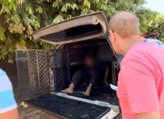 Suspeito de roubar celulares ameaçando vítimas com machadinha é preso após dois assaltos seguidos
