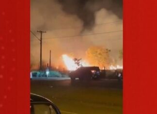Incêndio em vegetação seca ameaça animais e assusta moradores; VÍDEO