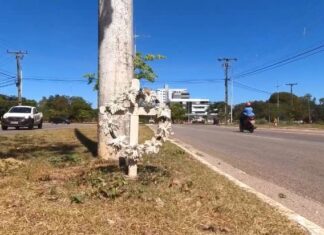Acidentes envolvendo postes deixam famílias de luto: ‘Não desejo para ninguém passar por essa dor’ diz irmã de vítima