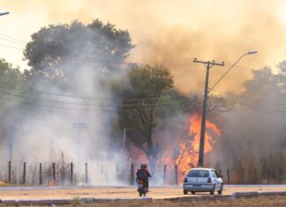Incêndio de grandes proporções atinge vegetação próxima ao Aeroporto de Palmas