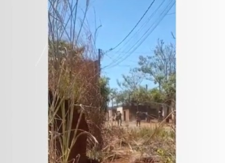Especialista aponta possível ‘falha técnica’ em abordagem da PM que terminou com morte de homem em surto psicótico