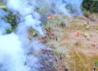 Autorizações para uso do fogo estão suspensas até outubro para evitar incêndios florestais