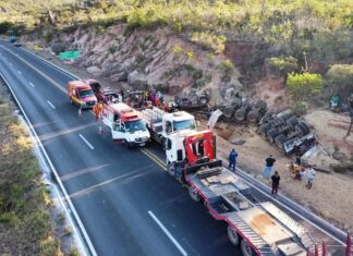 Mulher morre soterrada por soja após carreta capotar na BR-242