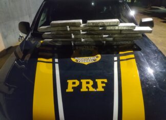 Passageiro de ônibus é preso com mais de 15 quilos de maconha na mochila, diz PRF