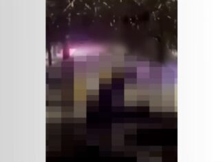 Fetiche proibido: entenda por que fazer sexo em local público é crime