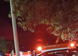 Motorista morre após bater em veículo que presta serviço para Prefeitura de Palmas
