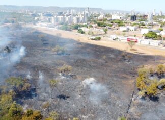 Incêndio atinge 114 mil metros quadrados de área verde e fumaça se espalha por quadras da região