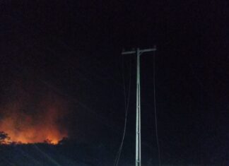 Queimadas deixaram 13 mil famílias sem energia no Tocantins em dois meses; entenda