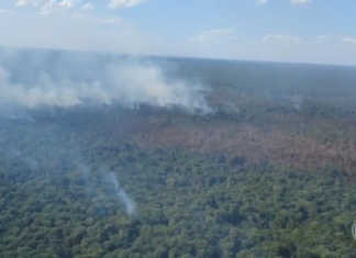 Incêndio na Ilha do Bananal consome mais de 60 km de mata e brigadistas usam internet via satélite para localizar focos