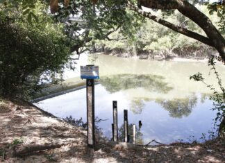 Rio Formoso teve maior redução no nível de água nos últimos três anos, aponta boletim