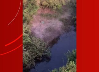 Cavalo de idoso que desapareceu em fazenda é encontrado e buscas continuam com helicóptero