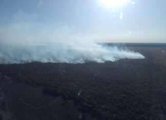Brigadistas contam com tecnologia e helicópteros para chegar aos focos de incêndio na Ilha do Bananal