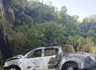 Motorista tenta desviar de antas, bate em árvore e caminhonete pega fogo na TO-222