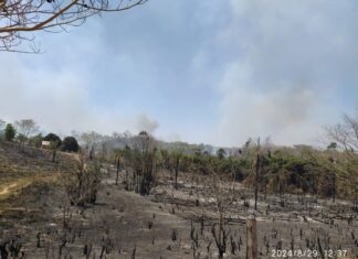 Sem condições de combater incêndio em área rural, Prefeitura de Centenário decreta calamidade pública