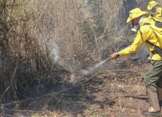 Após número de incêndios dobrar em agosto, governo anuncia repasse de R$ 1 milhão para contratar novos brigadistas