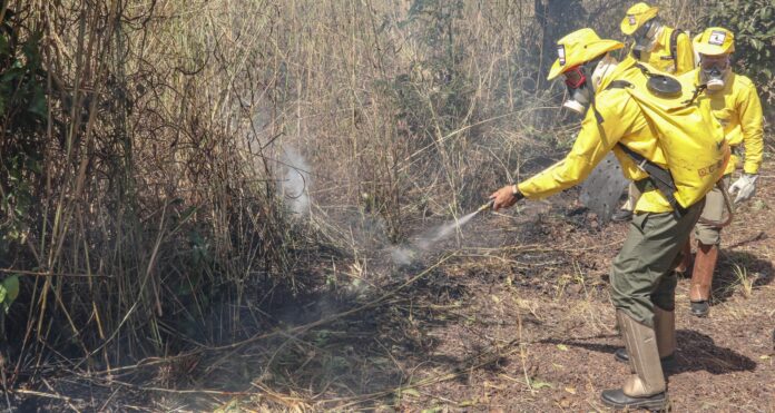 02.-em-2023-candidatos-a-funcao-de-brigadistas-de-combate-a-incendio-florestal-terao-60-vagas-disponiveis-luiz-henrique-machado-governo-do-tocantins-scaled