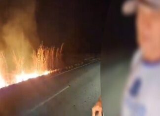 Fazendeiro é flagrado por fiscais do Ibama ateando fogo em pasto e diz que medida é preventiva: ‘É um fogo controlado’