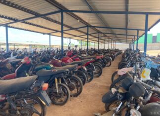 Mais de 270 veículos serão leiloados pelo Detran com lances a partir de R$ 10