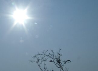 Cidades registram temperaturas de graus 40 graus nos próximos dias; veja locais