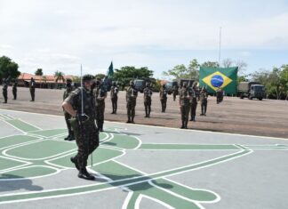 Exército fará operação para combater incêndios na maior ilha fluvial do mundo