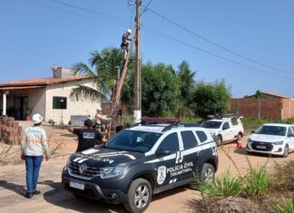 Operação encontra ‘gatos de energia’ em lojas e até clínica de estética; 13 pessoas foram presas